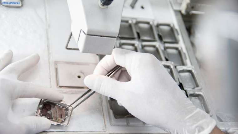 Gömülü Sistem Nedir?