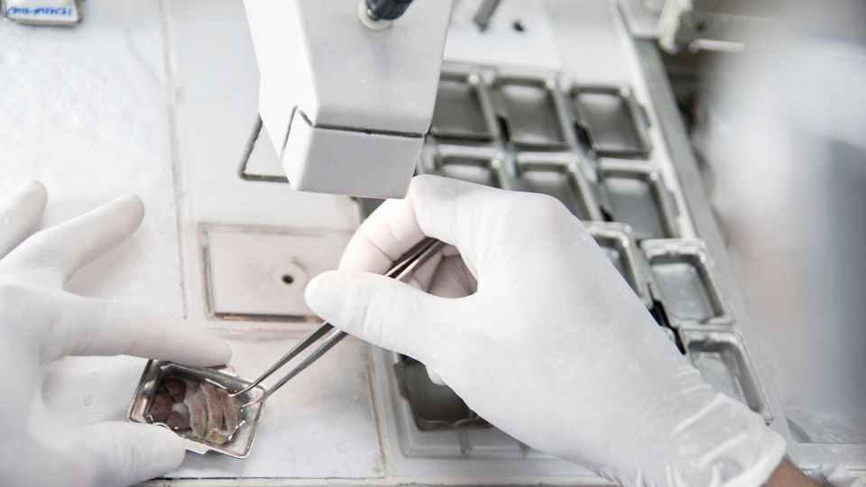 Gömülü Sistem Nedir?